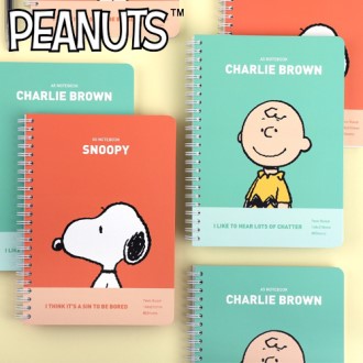 �ǳ��� A5 ������ ������Ʈ