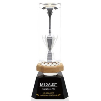 KC431 ������ǽ� ��ǰ ���& ũ����Ż LED Ʈ���� 3