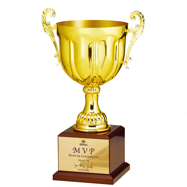 ���Ʈ���� W9)70- ���ڷξ� C